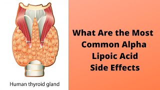 What Are the Most Common Alpha Lipoic Acid Side Effects [upl. by Nylassej]