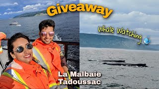 Whale watching at La Malbaie amp Tadoussac  Exploring Charlevoix Quebec [upl. by Rochell869]