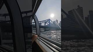 Sumida River Cruise 🛳 explorepage youtubeshorts sumidarivercruise tokyo japan [upl. by Anilram403]