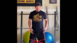 Resistance Band Exercises To Strengthen Your Lower Back amp Hips resistancebandexercises lowbackpain [upl. by Jenness]