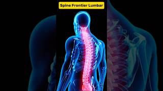 spine frontier lumbar medical animation 3d short  BiologywithAliya [upl. by Akibma904]