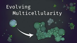 Simulating an Evolving Microcosmos  The Path to Multicellularity [upl. by Fritze]