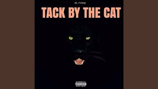 Tack By The Cat [upl. by Kiele]