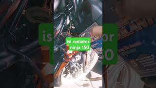 isi radiator ninja 150 [upl. by Zak]