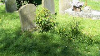 quotAre You Digging on My Gravequot by Thomas Hardy read by Tom OBedlam [upl. by Dnanidref]