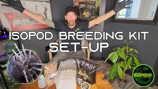 Isopod Breeding Starter Kit by Reptile Deli Full Setup Guide [upl. by Asp]