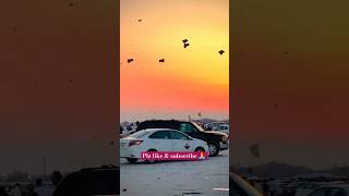 Kite lovers 😍youtubeshorts shorts trending viralvideo viralshorts kite festival kiteflying [upl. by Candis]