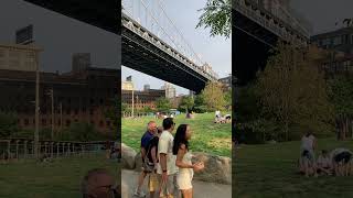 picknick under themanhattan bridge in dumbo brooklyn nyc [upl. by Leirrad]