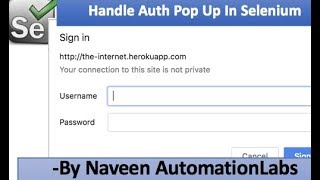 How to Handle Basic Authentication Pop Up in Selenium [upl. by Madlen]