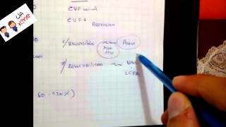 Interpretar ESPIROMETRIA en 3 pasos [upl. by Quirita861]