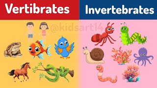 Vertibrates and Invertebrates  Classifying Vertebrates and Invertebrates  Educational videos [upl. by Eila]