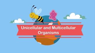 Unicellular and Multicellular Organisms [upl. by Stewardson]