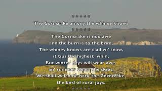 The Corncrake amang the whinney knowes [upl. by Aicargatla]