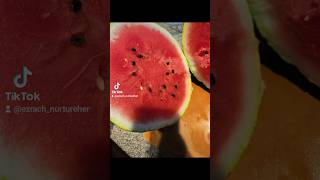 Cut up a whole watermelon and its worth every minute I had to spend to do it 😃😍 fyp explore [upl. by Andrews]