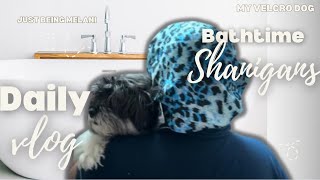 Ep6 Easy AtHome Dog Bath Affordable products amp Tips  Velcro Dog [upl. by Hardwick]