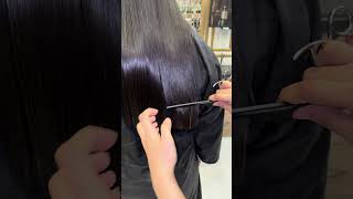 Straight haircut 2024hairtrends 2024hairtrends haircutting straighthaircut [upl. by Hadden]