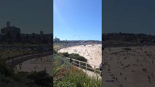 Spring in Bondi Beach australia travel [upl. by Winsor]