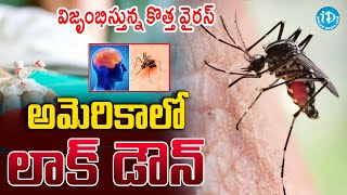 Lockdown In America  మరో ప్రమాదం ముంచుకోస్తుందా  US Towns Close to stop a mosquito disease [upl. by Critchfield]