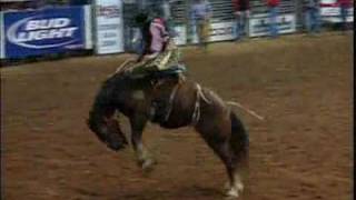 Saddle Bronc Riding  HRS Rodeo [upl. by Roskes]