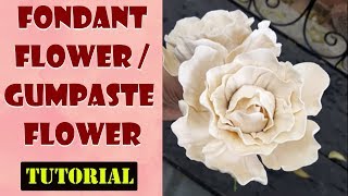 FONDANT FLOWER  GUMPASTE FLOWER  Easy amp Quick Cake Recipes [upl. by Farley]