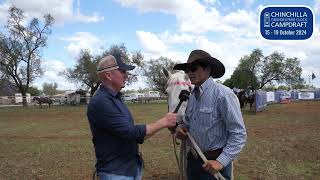 CC with Cameron Webster at Chinchilla Campdraft [upl. by Drawyah788]