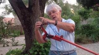 The pole pruner use and repairing [upl. by Tamer]