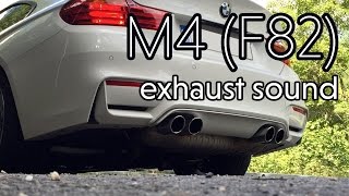 BMW M4 M3 Exhaust sound  Revving engine S55B30 [upl. by Adnamra]