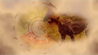 Best Documentaries  The Evolution of Mammals Part 1  Meet the Synapsids [upl. by Winterbottom]