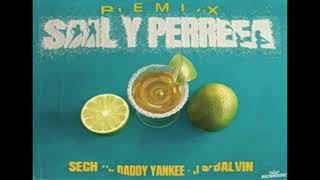 Sech Ft Daddy Yankee Y J Balvin  Sal y Perrea Remix Audio [upl. by Ronnica]