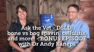 Ask the Vet  DSLD bone vs bog spavin cellulitis and more  BONUS EPISODE with Dr Andy Kaneps [upl. by Gonzalez]