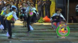 ✓♪♫ ►FOLKLORISTAS HUANCAYO PUCARÁ 2019◄CARNAVALES PRIMICIA PRODUCCIONES [upl. by Audre]