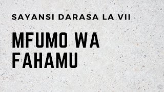 SAYANSI DARASA LA VII MFUMO WA FAHAMU 1 YA 2 [upl. by Desberg254]