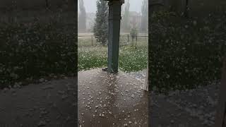 Calgary Hail Storm Aug 5 ☔️⛈️ yyc hail storm [upl. by Annert]