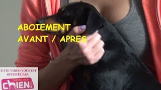 Vidéo 66 Education du chien qui aboie à la maison par Eric Tramson [upl. by Bellda349]