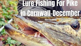 Lure Fishing for Pike in December  Cornwall Pike Fishing [upl. by Yerdua]