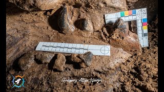 JAWS  Discoveries in South Garo Hills Meghalaya Northeast India [upl. by Hniht]