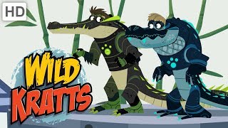 Wild Kratts 🐊 Alligators vs Crocodiles  Kids Videos [upl. by Nithsa]