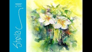 How to paint Hellebore Flowers Part 1 very loose wet into wet watercolour by Sheila Gill [upl. by Heywood83]