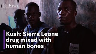 Drug mixed with human bones ravaging Sierra Leone [upl. by Willette]