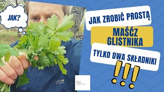 Jak zrobić prostą maść z glistnika jaskółcze ziele ☘️ Tylko dwa składniki [upl. by Melone346]