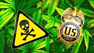 DEA Greenlights Dangerous Marijuana [upl. by Edette542]