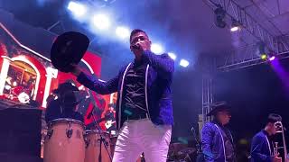 Torbellinos De NayaritDesde Compostela En vivo 🎸🎺🎷🪘🪘🕺🏻💃🏻 🎼🔥 [upl. by Nedak]