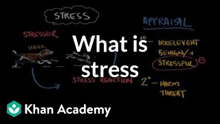 What is stress  Processing the Environment  MCAT  Khan Academy [upl. by Daniels428]