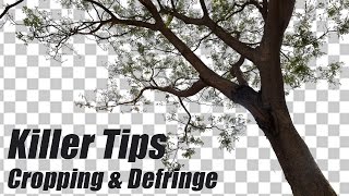 Photoshop Killer Tips  Cropping Defringe Hindi [upl. by Ysabel]