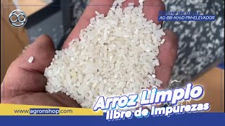 Producción de hasta 600 kg de Arroz libre de impureza Molino Ag70 Con elevadores campocolombiano [upl. by Drofdarb]