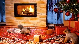 Christmas With Squirrels amp Relaxing Christmas Music  1 Hour [upl. by Diver906]