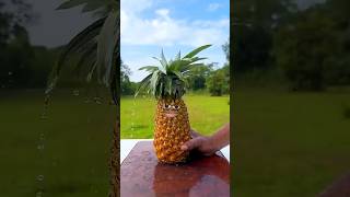 Maliks girlfriend will drink pineapple juice 🍍😁 shorts funny viralshorts [upl. by Trixy]