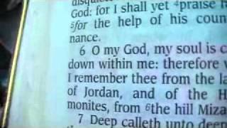 Psalm 42 King James Holy Bible [upl. by Worden]