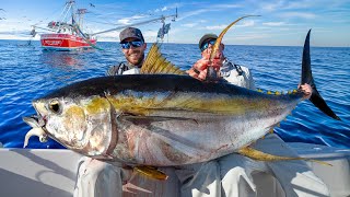 Giant Yellowfin Tuna Under Shrimp Boats Catch Clean amp Cook NLBN Lure Tuna Fishing [upl. by Ardnasil]