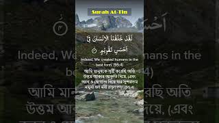 095  Surah At Tin [upl. by Eenerb385]